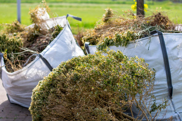 Best Moving and Downsizing Cleanouts  in Melody Hill, IN